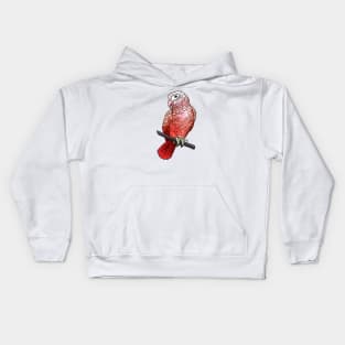 Bird - African Grey Parrot - Pink Kids Hoodie